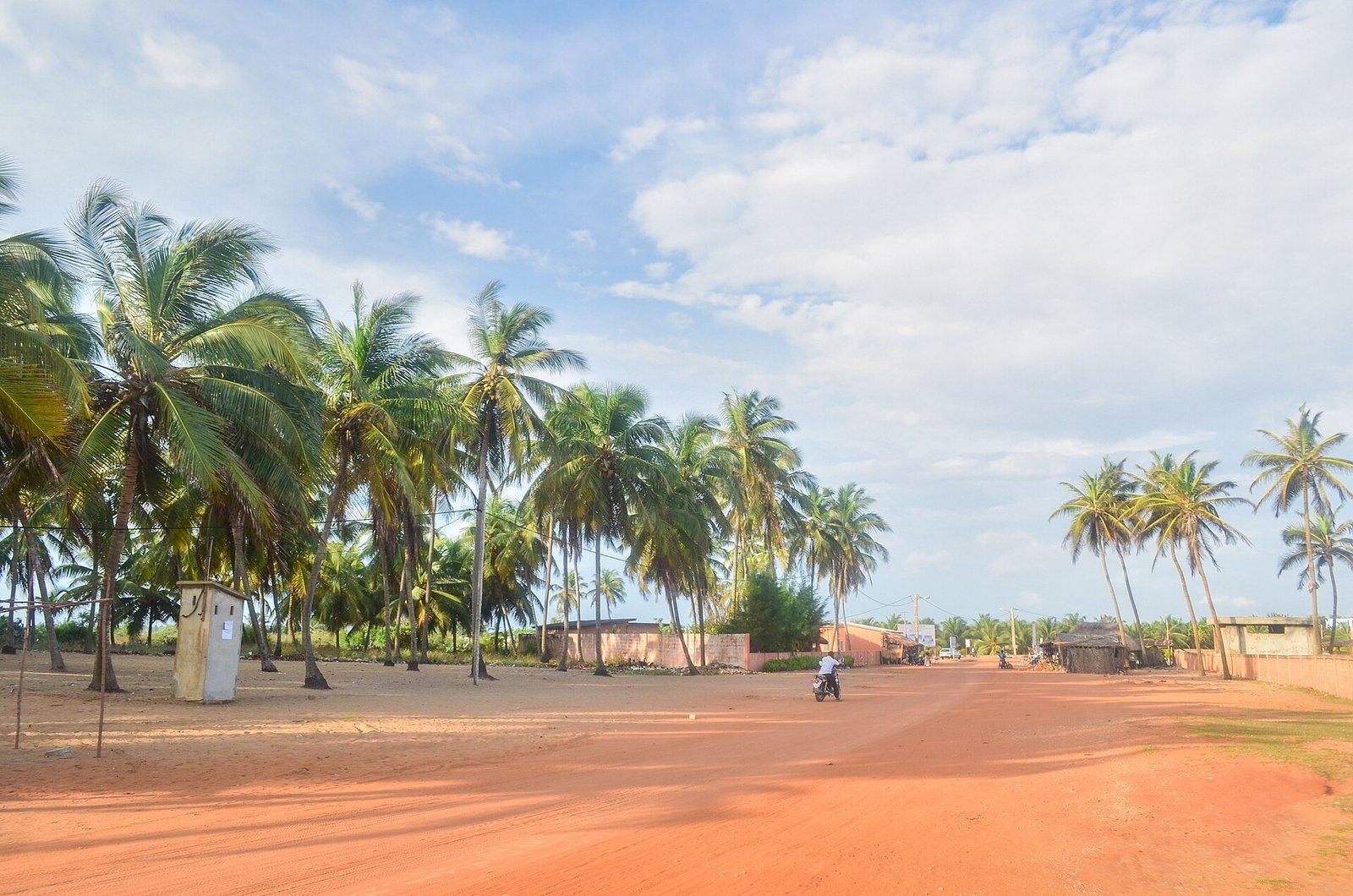 Rue bordée de palmiers à Ouidah